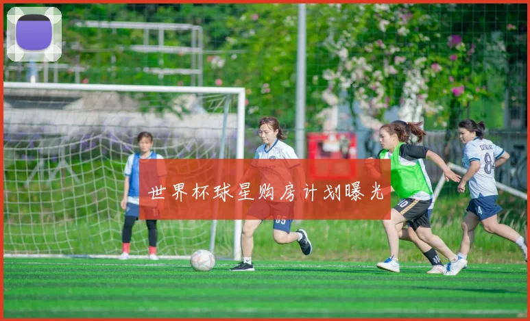 世界杯球星购房计划曝光