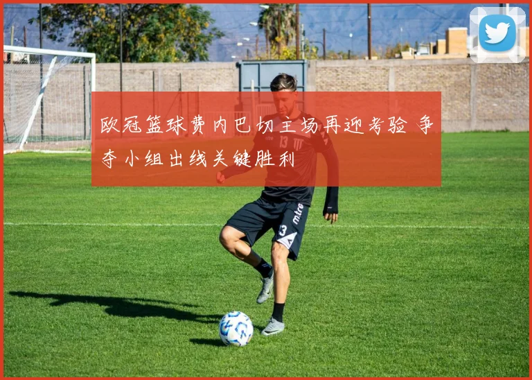 欧冠篮球费内巴切主场再迎考验 争夺小组出线关键胜利