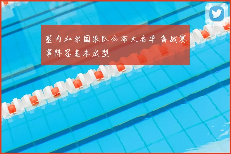 塞内加尔国家队公布大名单 备战赛事阵容基本成型