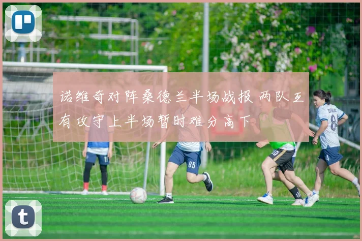 诺维奇对阵桑德兰半场战报 两队互有攻守上半场暂时难分高下
