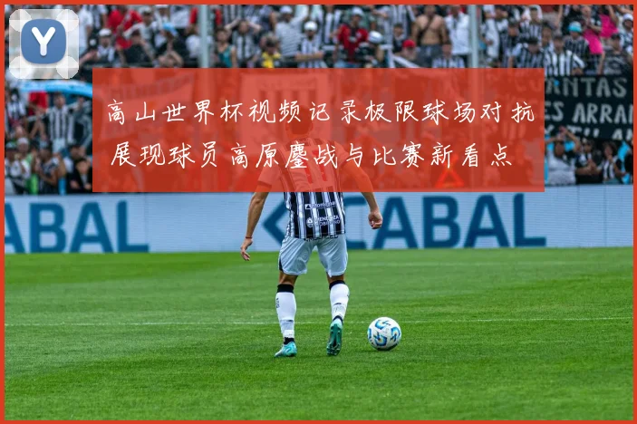 高山世界杯视频记录极限球场对抗 展现球员高原鏖战与比赛新看点